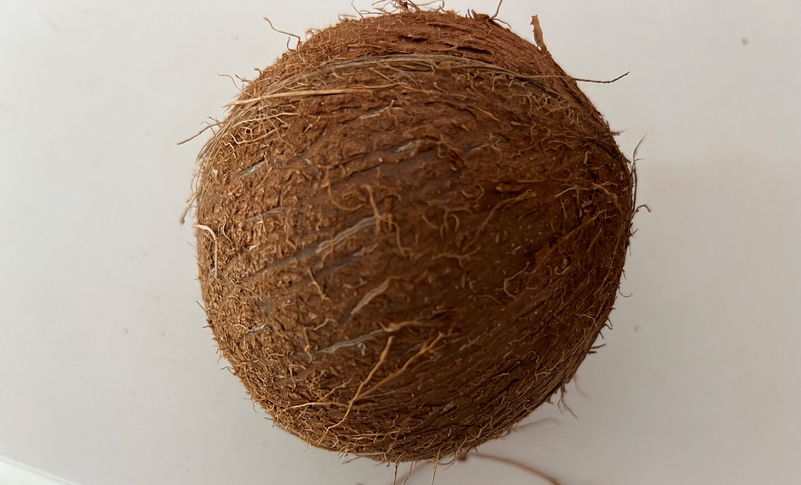 el coco