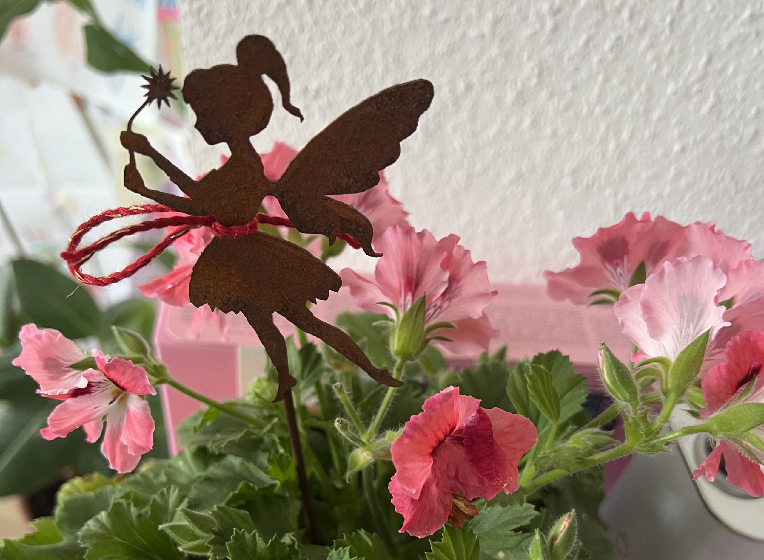 Pflanzen-rosa-jolieblog